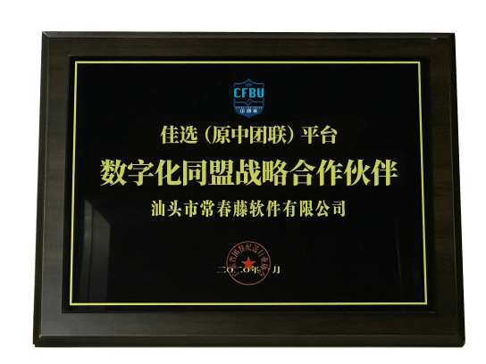 數字化同盟戰略合作伙伴