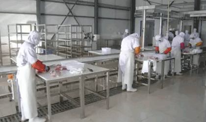 肉禽類加工廠供應(yīng)鏈管理